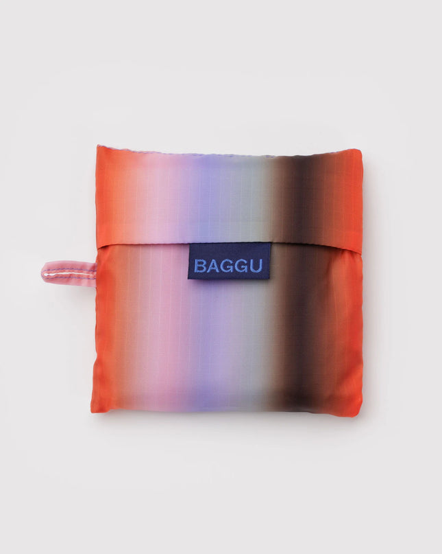 Standard Baggu - Gradient Stripe Poppy & Lilac