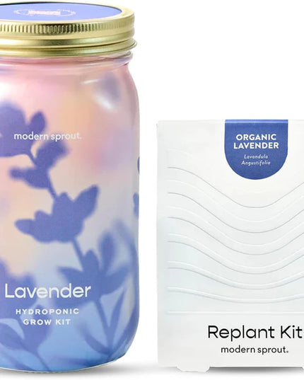 Modern Sprout - Garden Jars - Organic Herbs - Lavender