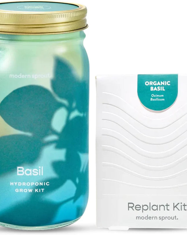 Modern Sprout - Garden Jars - Organic Herbs - Basil