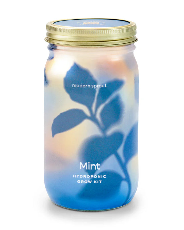 Modern Sprout - Garden Jars - Organic Herbs - Mint