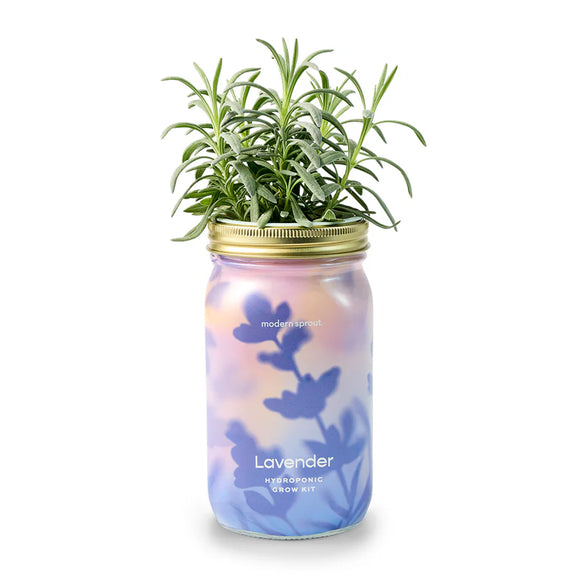 Modern Sprout - Garden Jars - Organic Herbs - Lavender