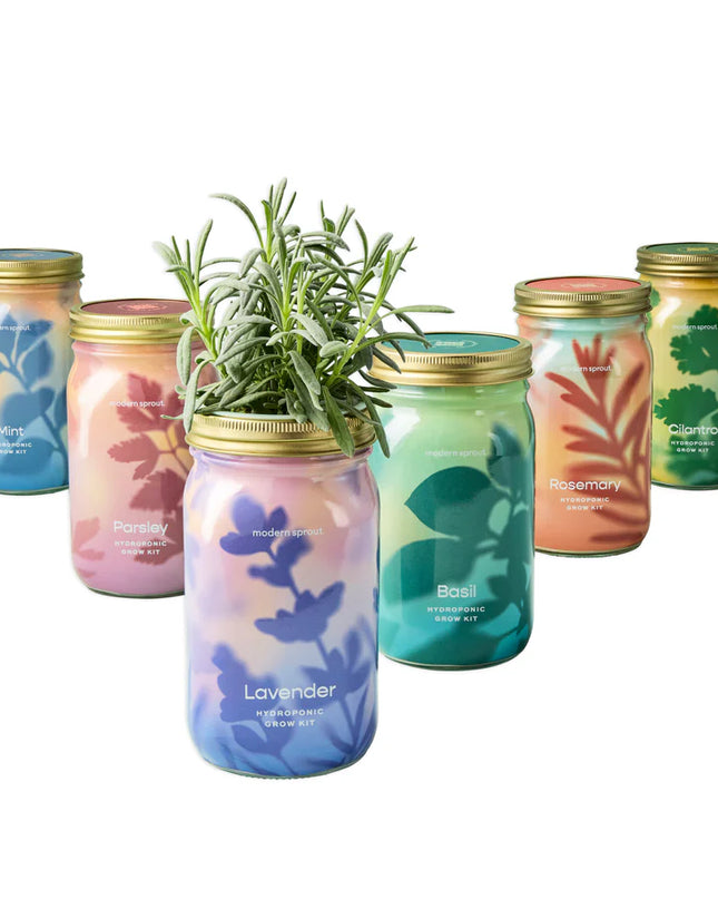 Modern Sprout - Garden Jars - Organic Herbs - Lavender