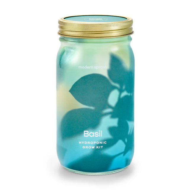 Modern Sprout - Garden Jars - Organic Herbs - Basil