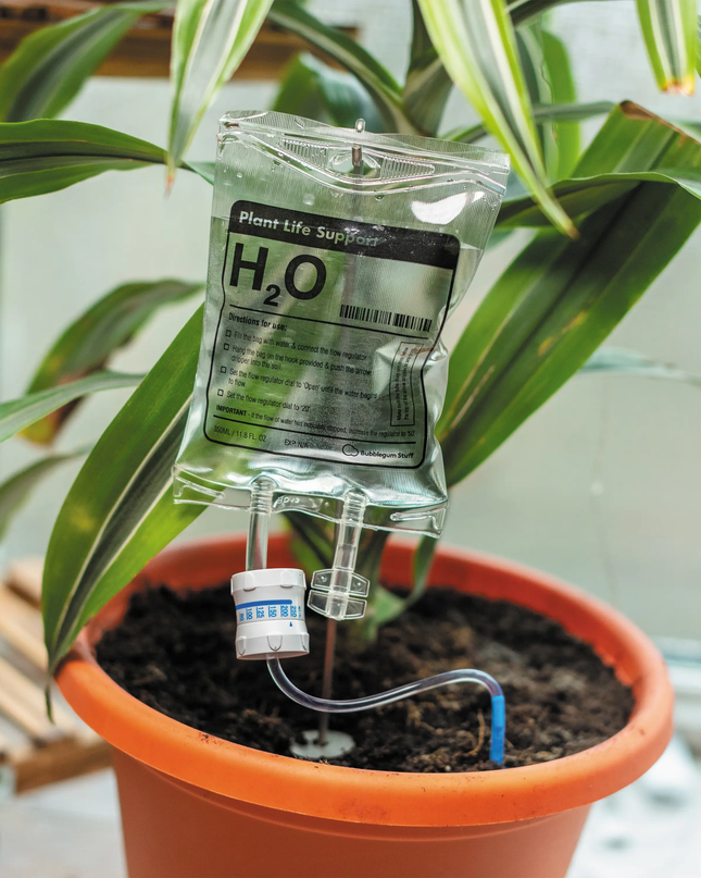 Life Support Plant IV Watering Device