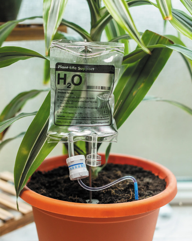 Life Support Plant IV Watering Device